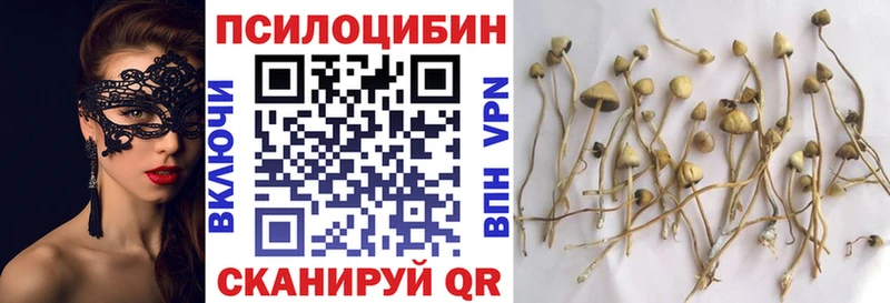 Галлюциногенные грибы Cubensis  Юрьевец 